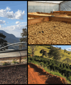 Alternative view of Dual Origin 107 Coffee Beans 500g